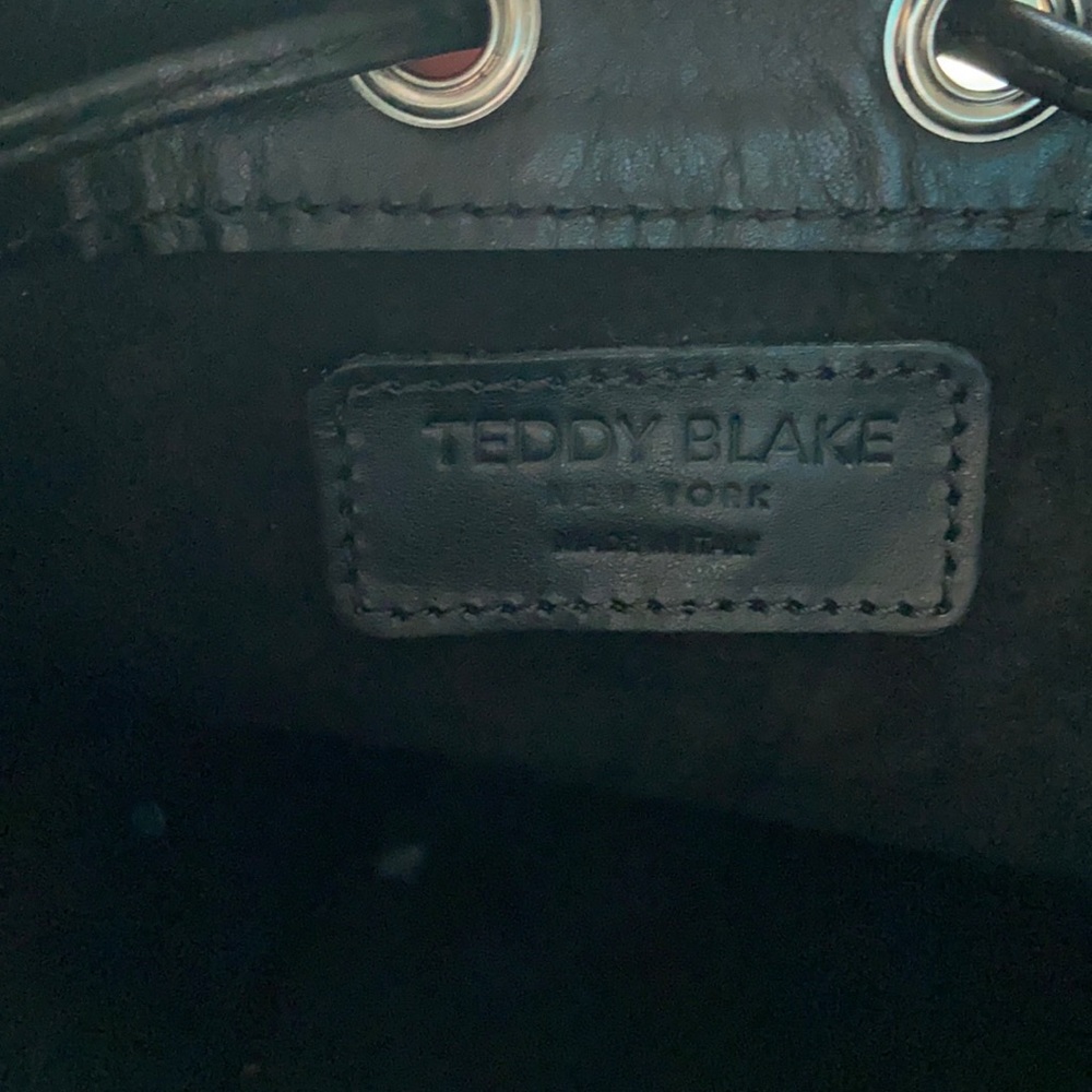 NWOT Teddy Blake bucket bag